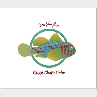 Green Clown Goby Posters and Art